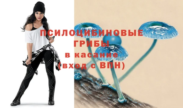 кристаллы Новодвинск