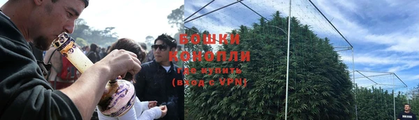 СК Новозыбков