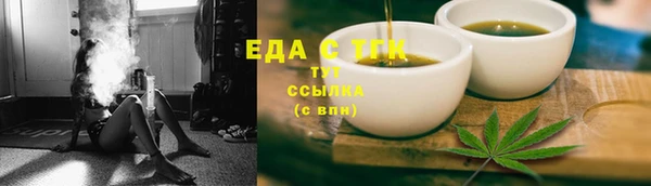 СК Новозыбков