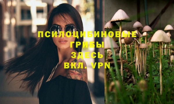 СК Новозыбков