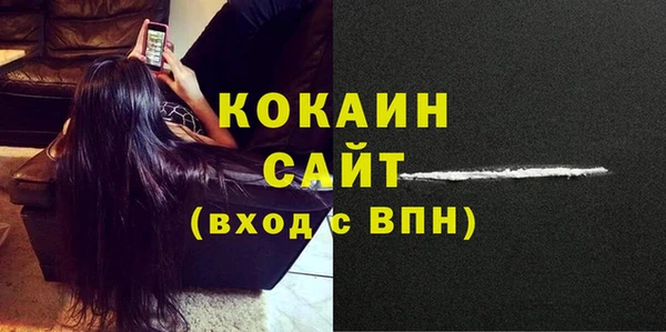 СК Новозыбков