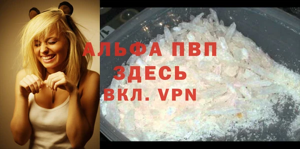 СК Новозыбков