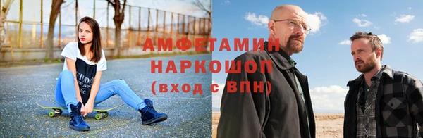 СК Новозыбков