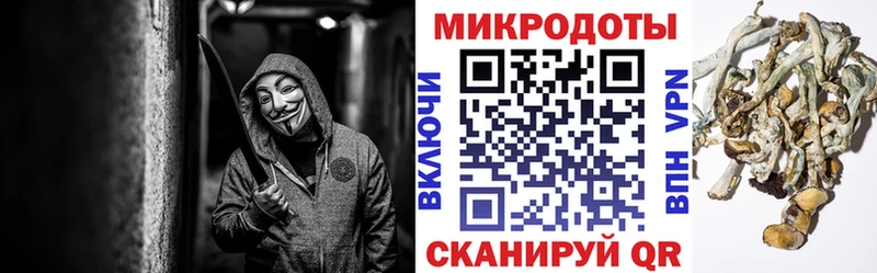 Галлюциногенные грибы Psilocybine cubensis Купить закладки Шацк
